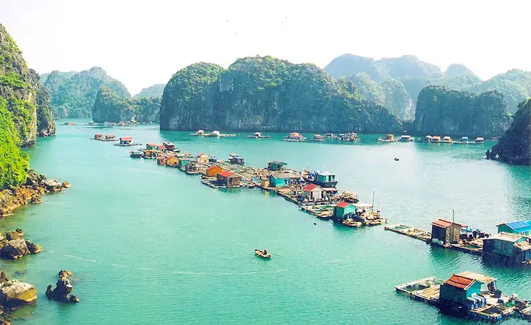 tour du lịch vịnh hạ long