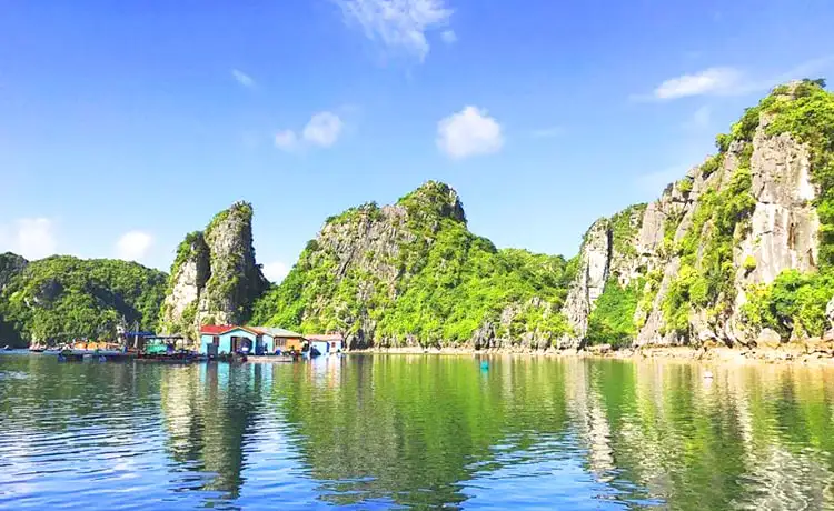 tour du lịch vịnh hạ long
