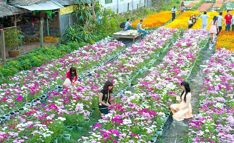 làng hoa hà đông đà lạt