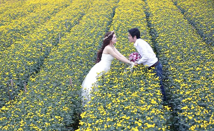 làng hoa thái phiên đà lạt