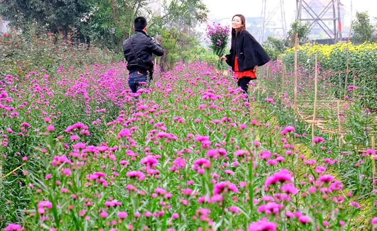 làng hoa vạn thành đà lạt