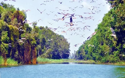 Láng Sen Long An - Điểm đến Long An