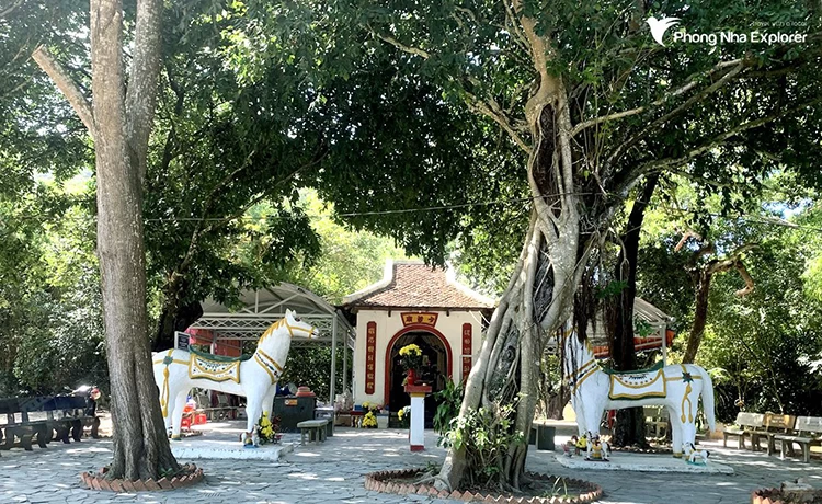 tour côn đảo 3 ngày 2 đêm trên bộ