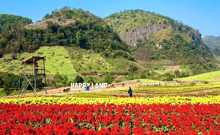tour du lịch Mộc Châu