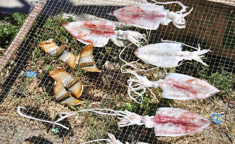 đặc sản mực một nắng cù lao chàm