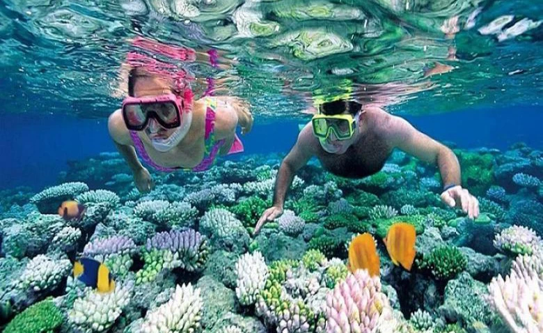 tour du lịch Nam Du 2 ngày 1 đêm