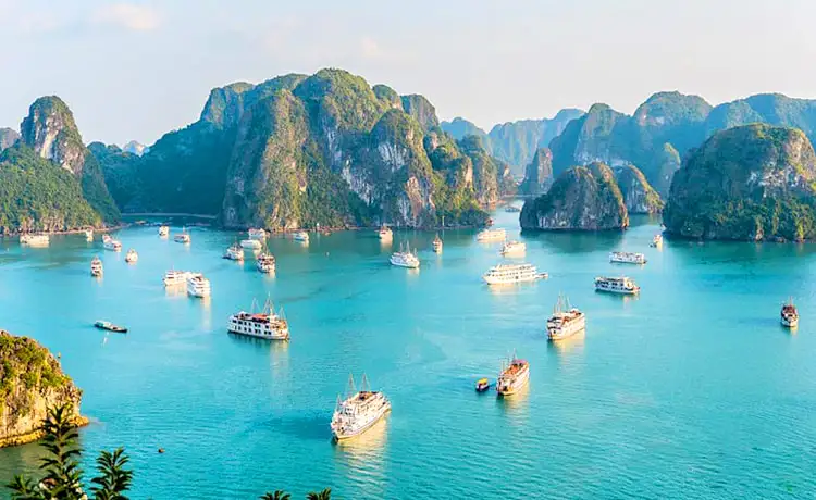tour du lịch vịnh hạ long