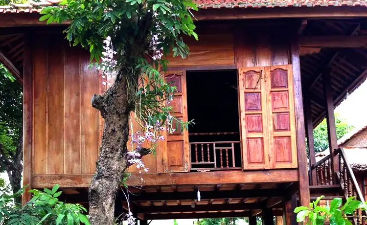 tour mai châu mộc châu 3 ngày 2 đêm