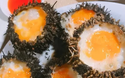 Nhum biển (cầu gai) Cô Tô - Đặc sản Cô Tô