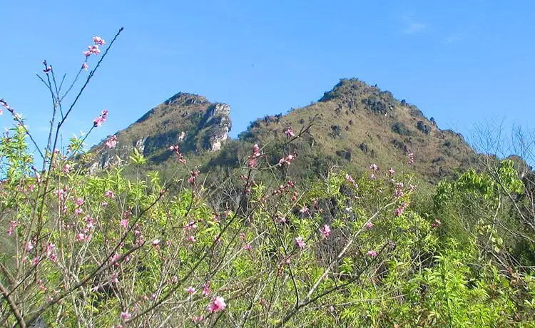 tour du lịch SaPa