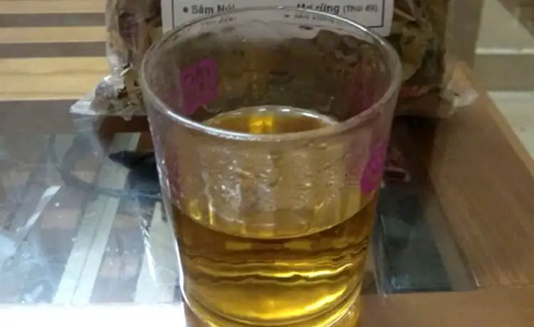 nước lá rừng cù lao chàm