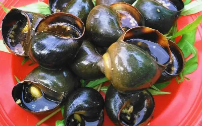 Ốc nướng tiêu Cần Thơ - Đặc sản Cần Thơ