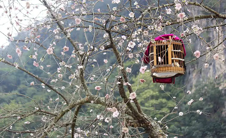 phố cổ đồng đồng văn hà giang