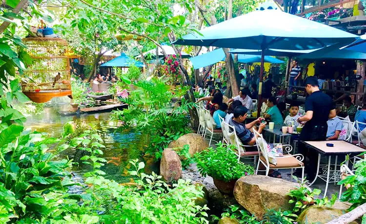 quán cafe hoa đồng nội nha trang
