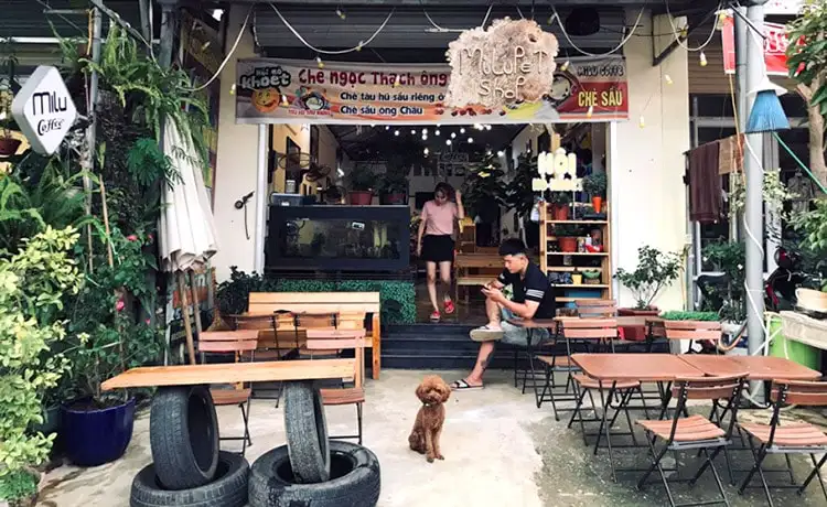 quán cafe milu mộc châu