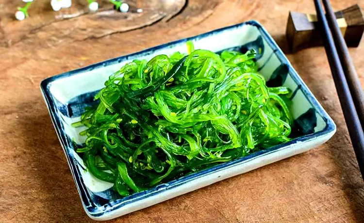 rong biển bình hưng