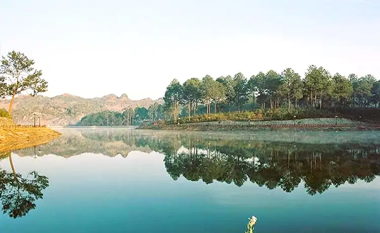 Rừng thông Bản Áng Mộc Châu