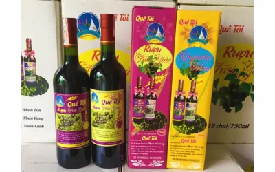 Rượu Trái Giác Cà Mau - Đặc Sản Cà Mau