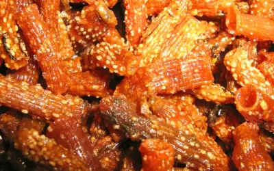 Sá Sùng Cô Tô - Đặc sản Cô Tô