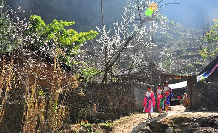 thài phìn tủng hà giang