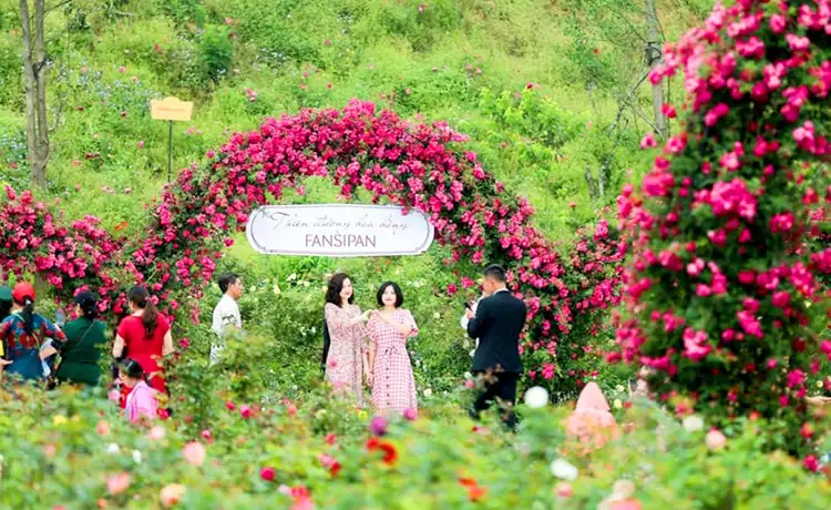tour du lịch SaPa
