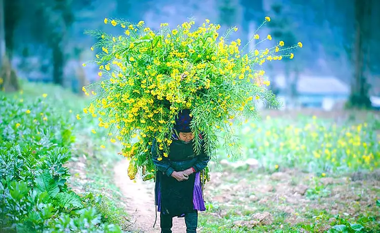 thung lũng sủng là hà giang