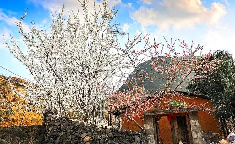 thung lũng sủng là hà giang