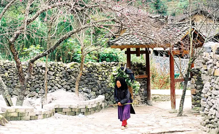 thung lũng sủng là hà giang