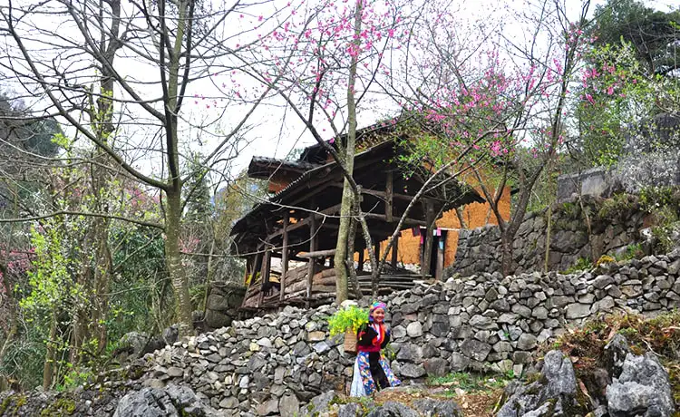 thung lũng sủng là hà giang