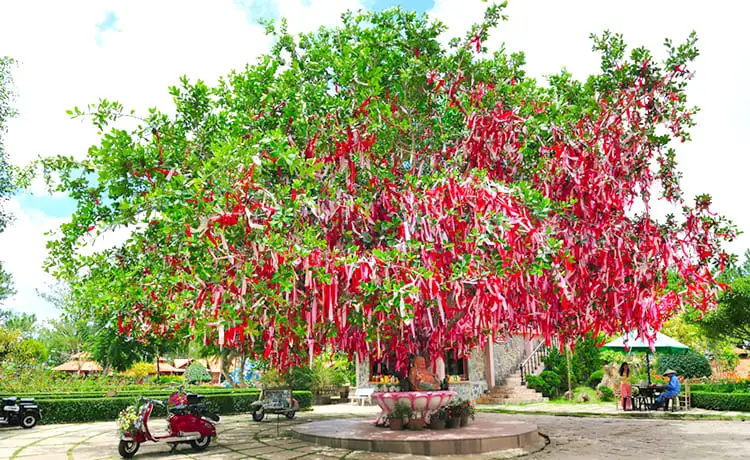 thung lũng tình yêu đà lạt
