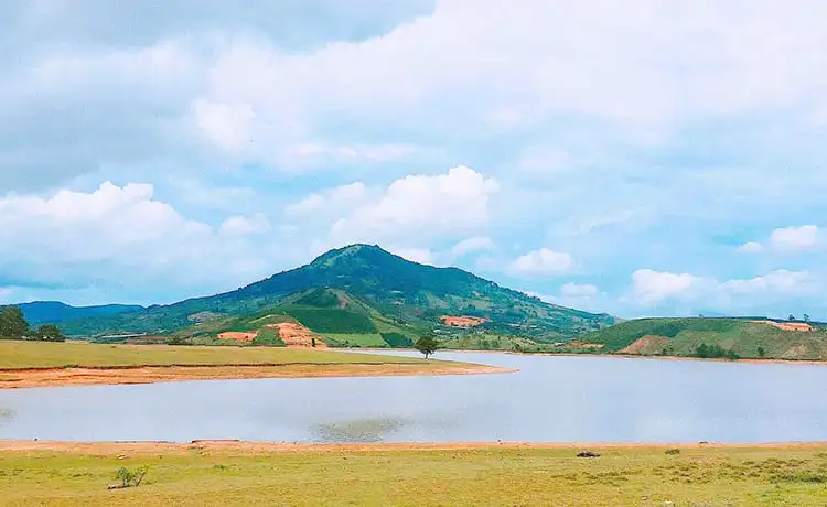 thung lũng vàng đà lạt