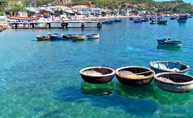 tour du lịch bình hưng 1 ngày