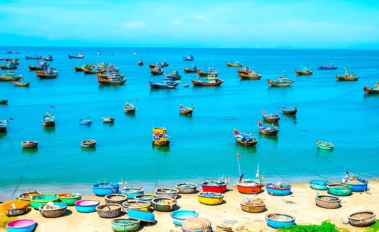 tour du lịch phan thiết 1 ngày