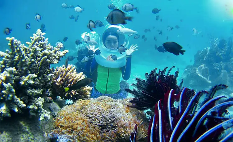 du lịch hòn mun nha trang