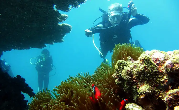 lặn ngắm san hô đảo yến hòn nội nha trang