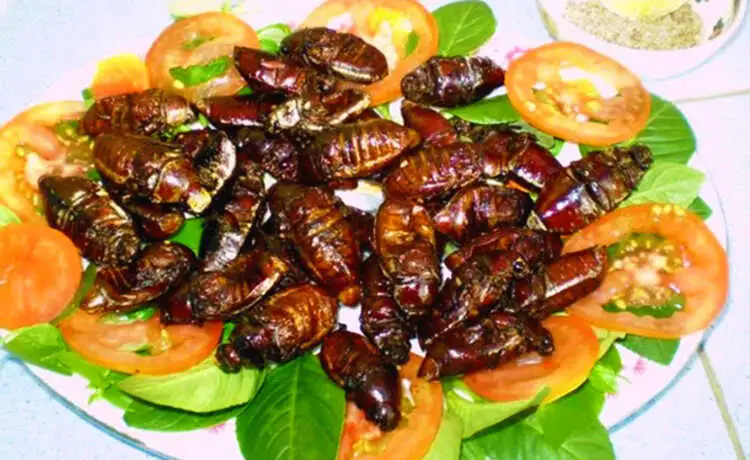 tour du lịch An Giang