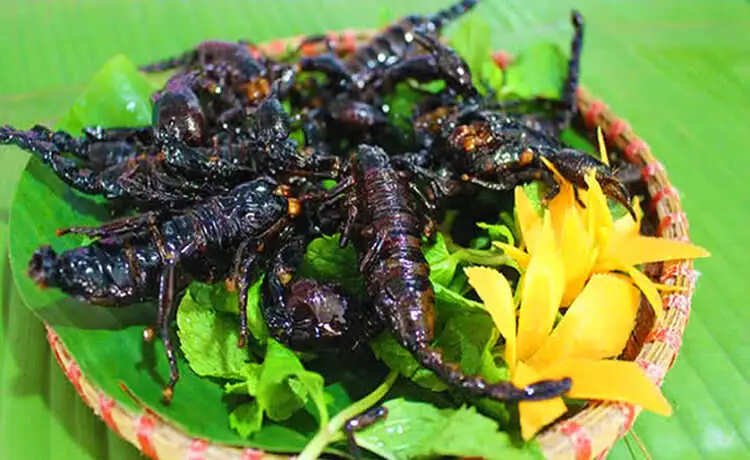 tour du lịch An Giang