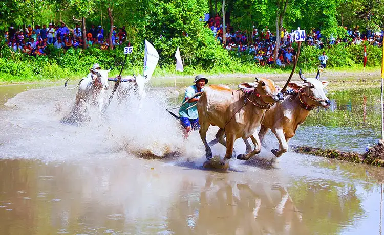 tour du lịch An Giang