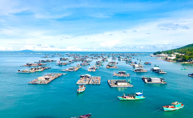 Tour du lịch Bà Lụa 2 ngày 1 đêm