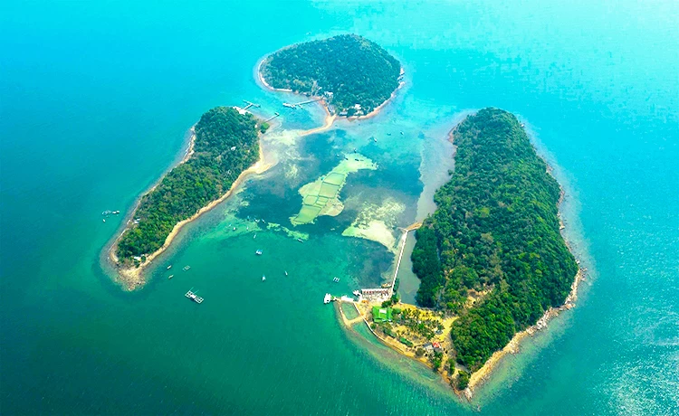 Tour du lịch Bà Lụa 2 ngày 2 đêm - Rừng Tràm Trà Sư