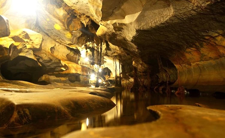 Tour du lịch Bà Lụa 2 ngày 2 đêm - Rừng Tràm Trà Sư
