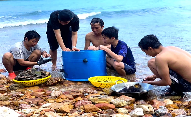 tour bà lụa 2 ngày 2 đêm rừng tràm trà sư hòn trẹm