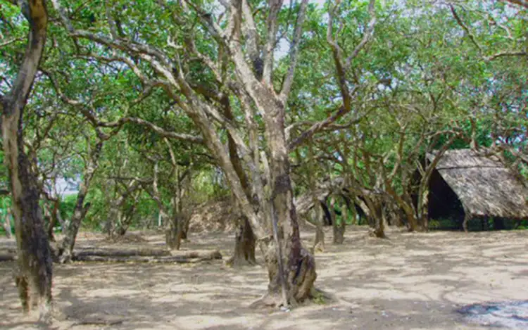 tour du lịch Bạc Liêu