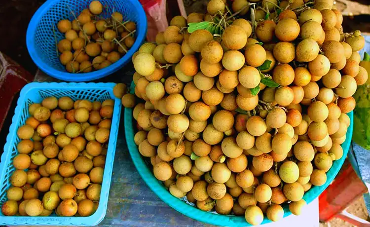 tour du lịch Bạc Liêu