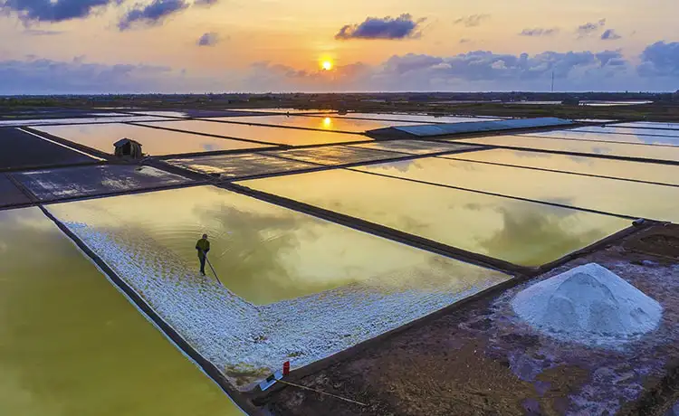 tour du lịch Bạc Liêu