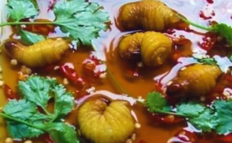 tour du lịch Bạc Liêu