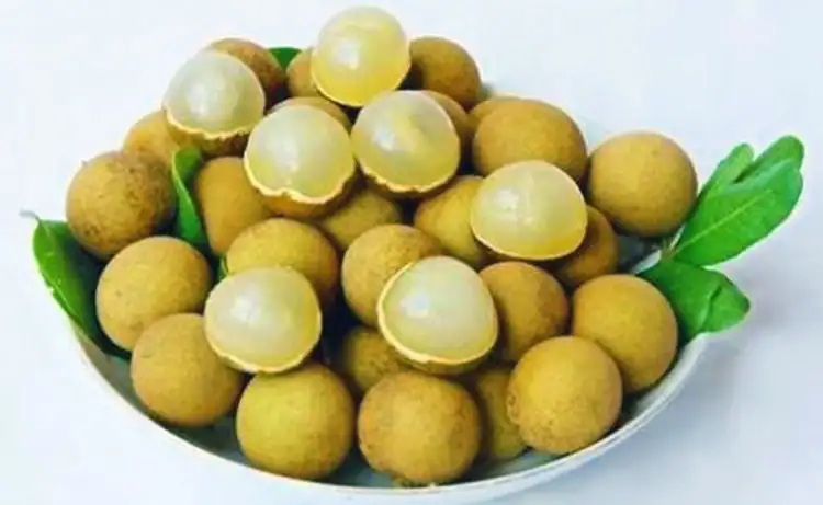 tour du lịch Bạc Liêu