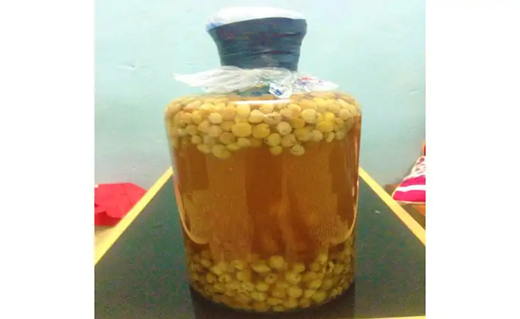 tour du lịch Bạc Liêu