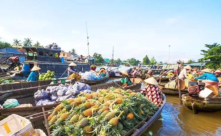 Tour du lịch Bạc Liêu - Cà Mau - Cần Thơ 3 ngày 2 đêm