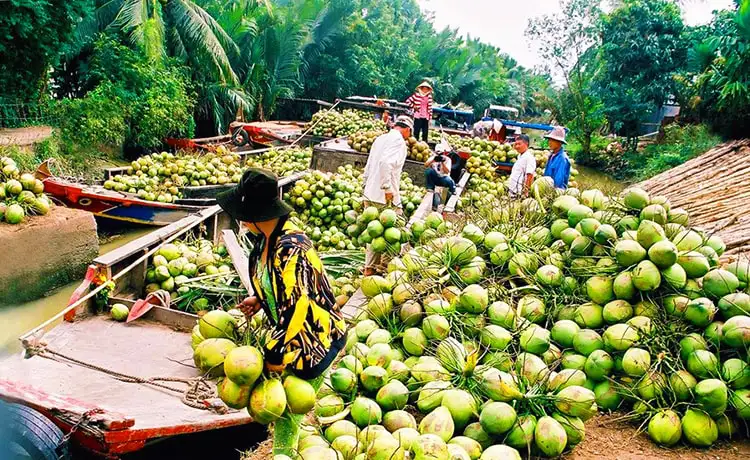 du lịch Bến Tre